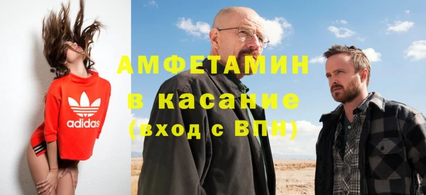 индика Осинники