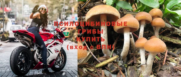 индика Осинники