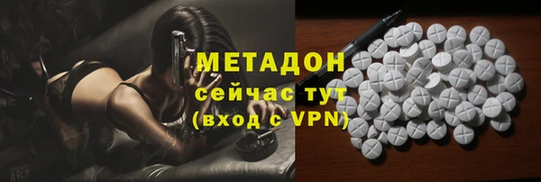 индика Осинники