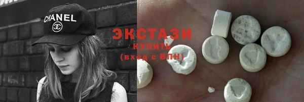 индика Осинники