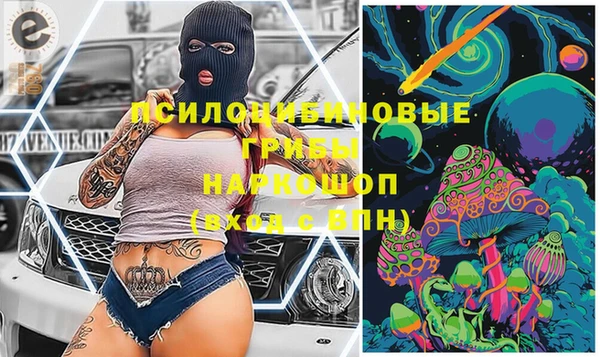 ПСИЛОЦИБИНОВЫЕ ГРИБЫ Болохово
