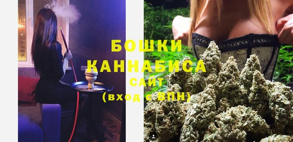 индика Осинники