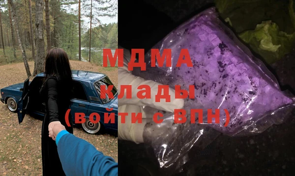 индика Осинники