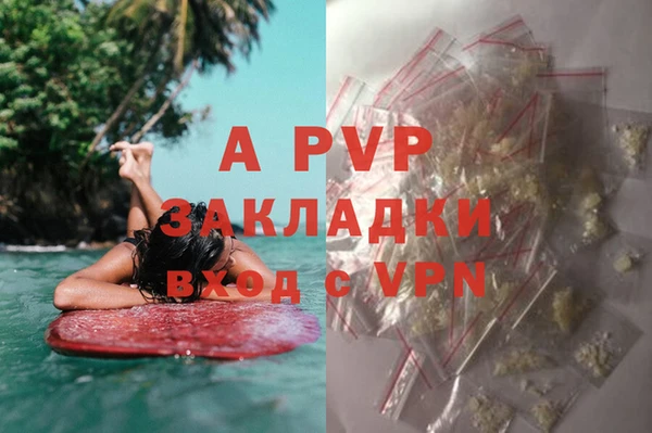 индика Осинники