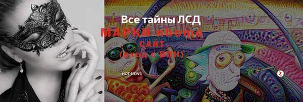 индика Осинники