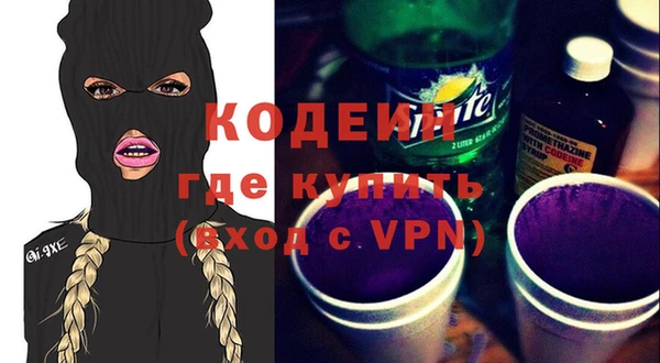 индика Осинники