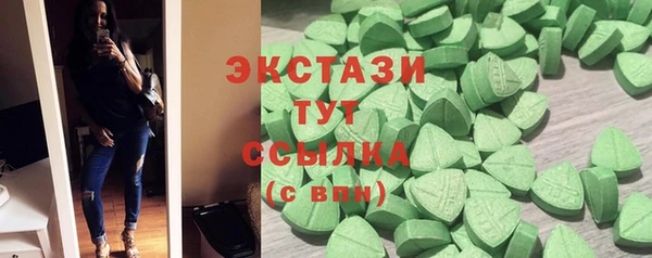 индика Осинники