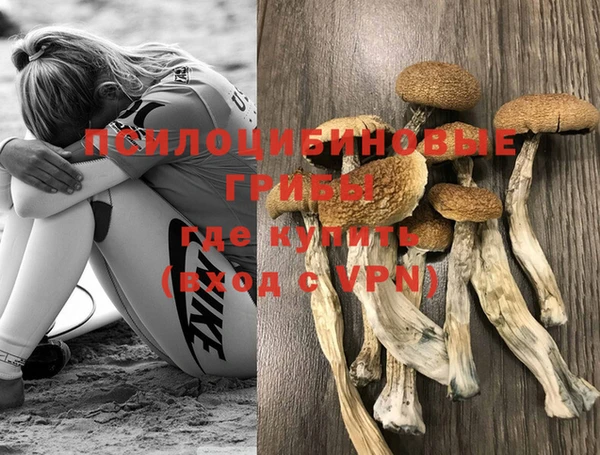 индика Осинники