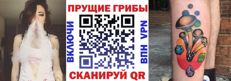 наркошоп  Рыльск  Псилоцибиновые грибы ЛСД 