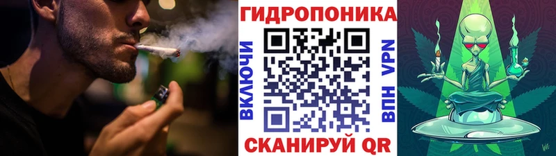 Бошки Шишки VHQ Рыльск